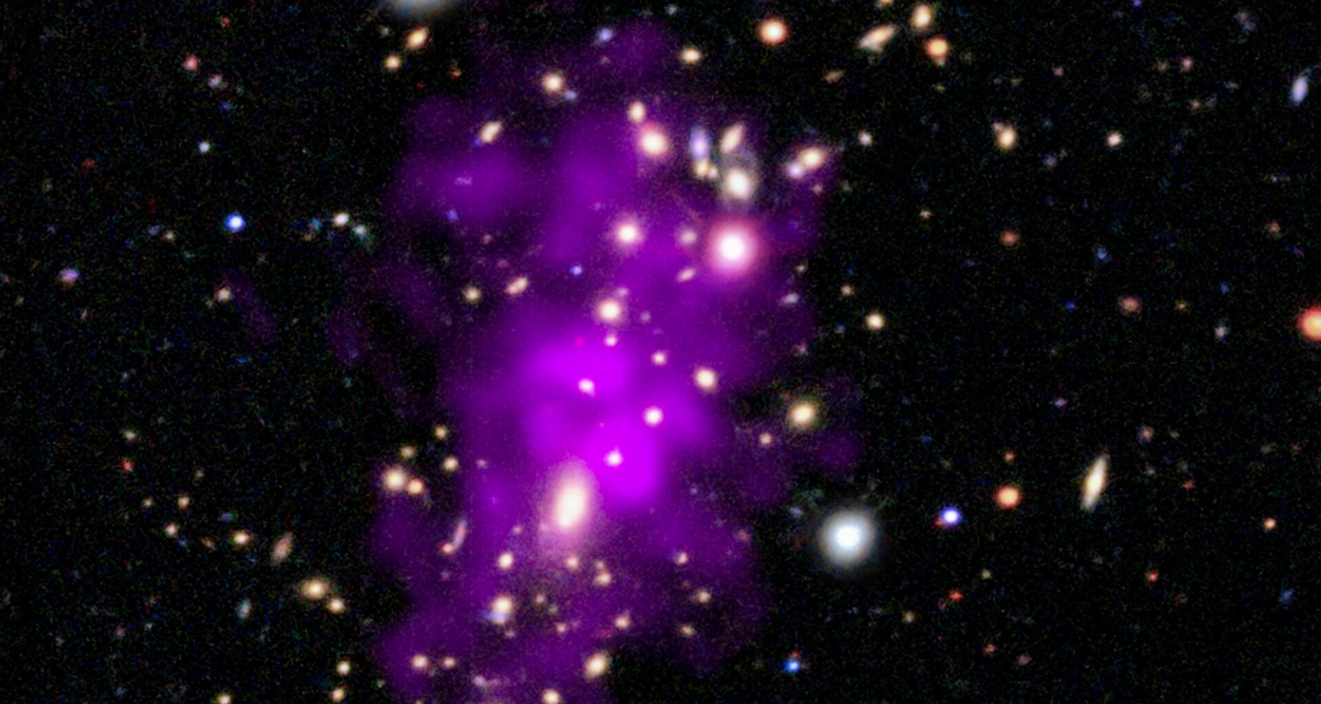 This release features a composite image of a galaxy cluster first discovered on New Year's Eve day, 2020. The cluster appears here as a large collection of brilliant white lights, each a distinct galaxy. A neon purple cloud stretches across the cluster's crowded core. Many of the hundred-plus galaxies in the cluster are in two clumps of galaxies towards the top and bottom of center. Some are encircled by a faint glowing haze, while a few foreground stars gleam with diffraction spikes. Some of the smaller galaxies are tinted blue, orange, or red, and some appear more oblong than round, suggesting spiral shapes viewed edge-on. The neon purple cloud sits at the heart of the image, surrounding the most densely-packed part of the cluster. This cloud, which spreads vertically across the cluster, is multimillion-degree gas observed by Chandra. The two clumps of observable galaxies, and the spread of superheated gas, reveal that the Champagne Cluster is in fact two clusters in the process of colliding. With the two clusters of sparkling light clinking together, and the auspicious discovery date, astronomers have dubbed the merged cosmic structure "The Champagne Cluster".