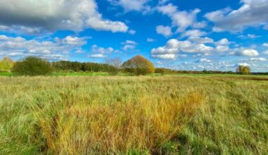 A day out in the Death Strip: How a symbol of communist paranoia became a wild paradise