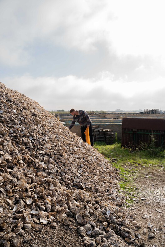 Converging Architectural Trends in 2025: Circularity, Biomaterials, and Carbon-Conscious Design - Image 8 of 14