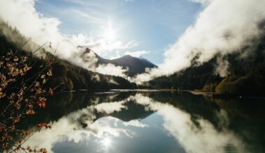 Northwest just finished warmest fall on record, scientists report