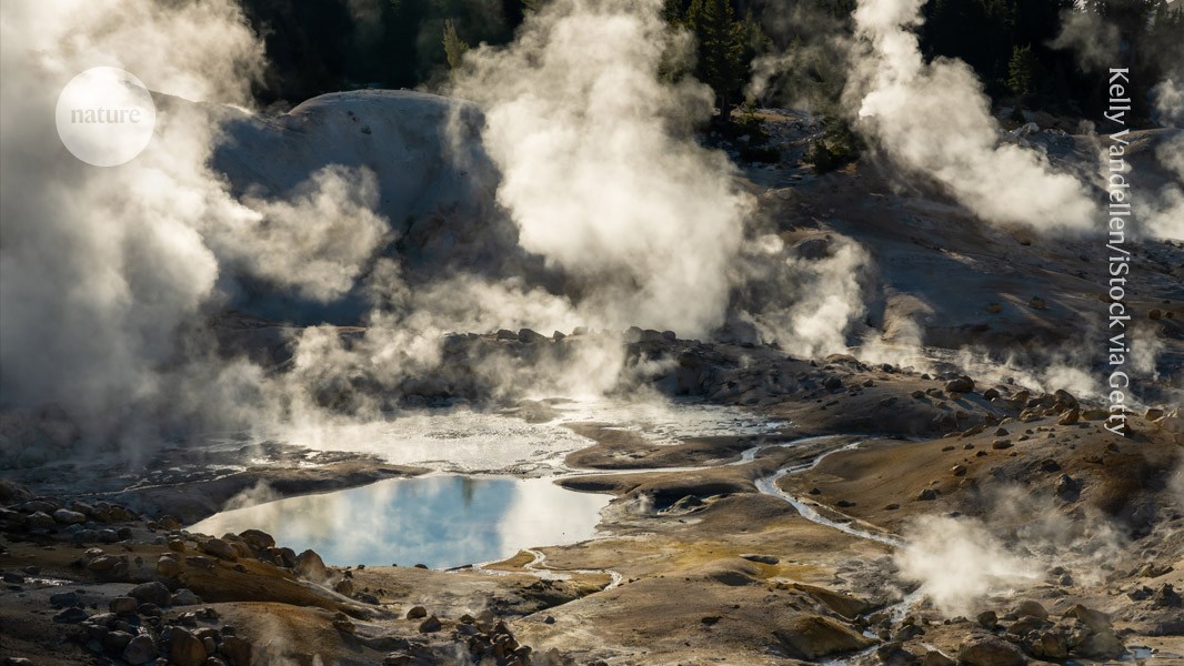 ‘Fire amoeba’ survives in hotter conditions than any other complex cell