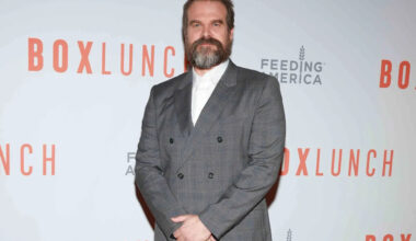 David Harbour Will Not Attend “Stranger Things” Finale Event amid Reports of Erratic Behavior