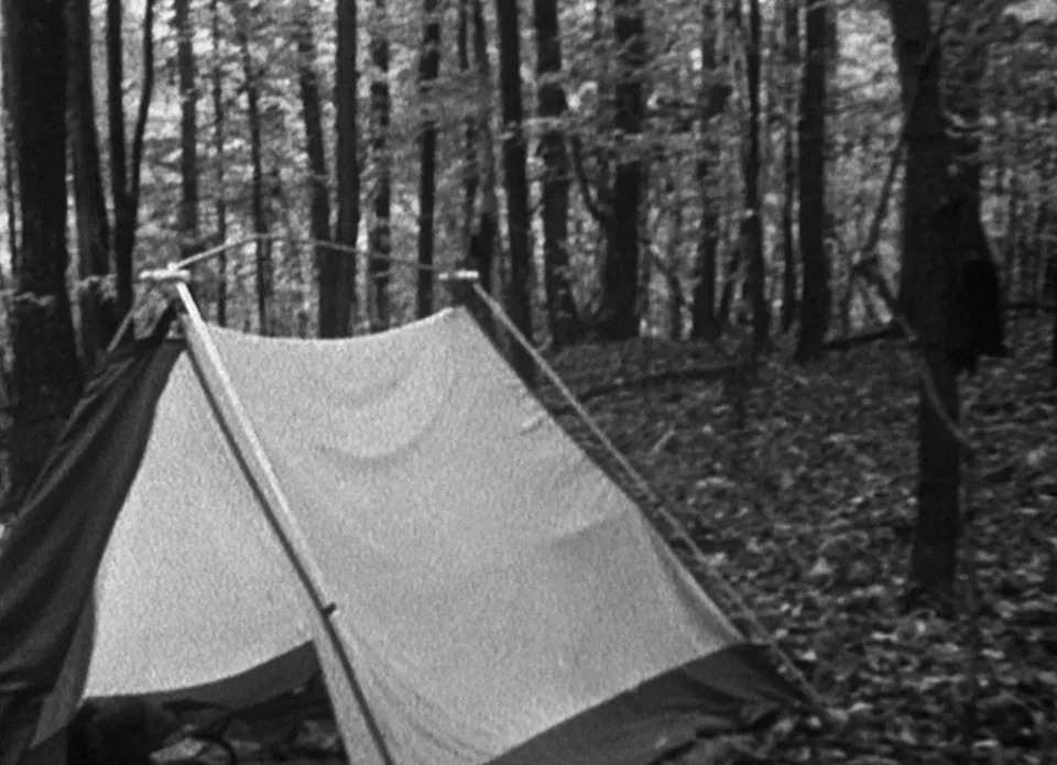 A small tent is pitched in a forest with many trees around it. The scene feels calm and serene