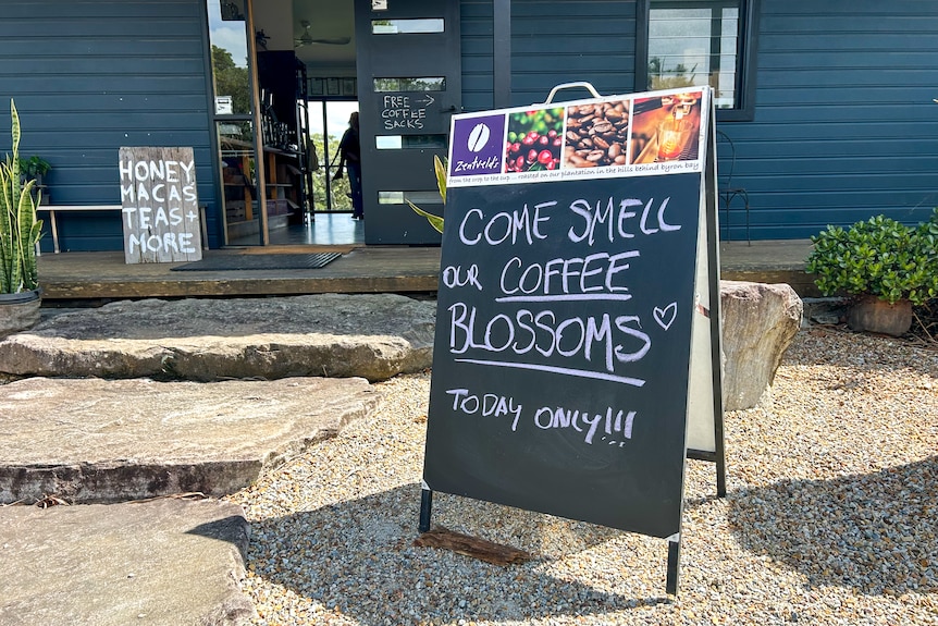 A sign inviting visitors to come smell the coffee blossoms.