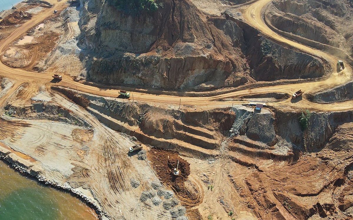 Study Warns of Increased Deforestation Risks