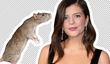 Casey Wilson Wants You to Watch Her Rat Livestream