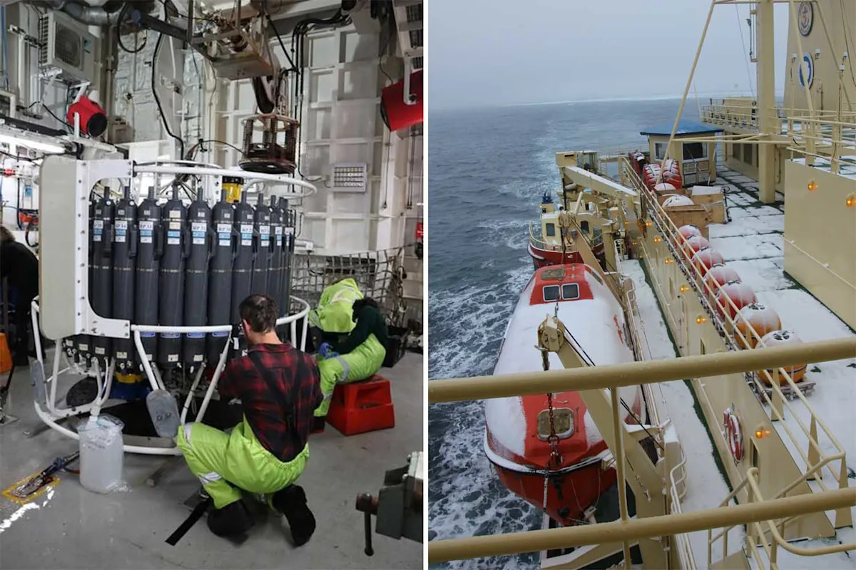 Aussie scientists warn of 'catastrophe' after discovery at bottom of ocean