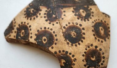 World&rsquo;s earliest botanical art reveals 8,000-year-old mathematical thinking