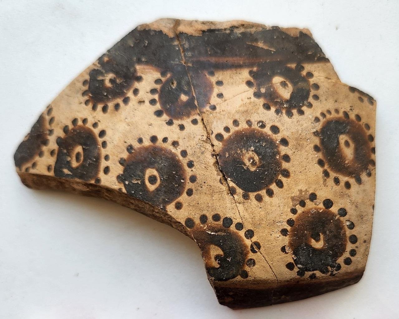 World&rsquo;s earliest botanical art reveals 8,000-year-old mathematical thinking