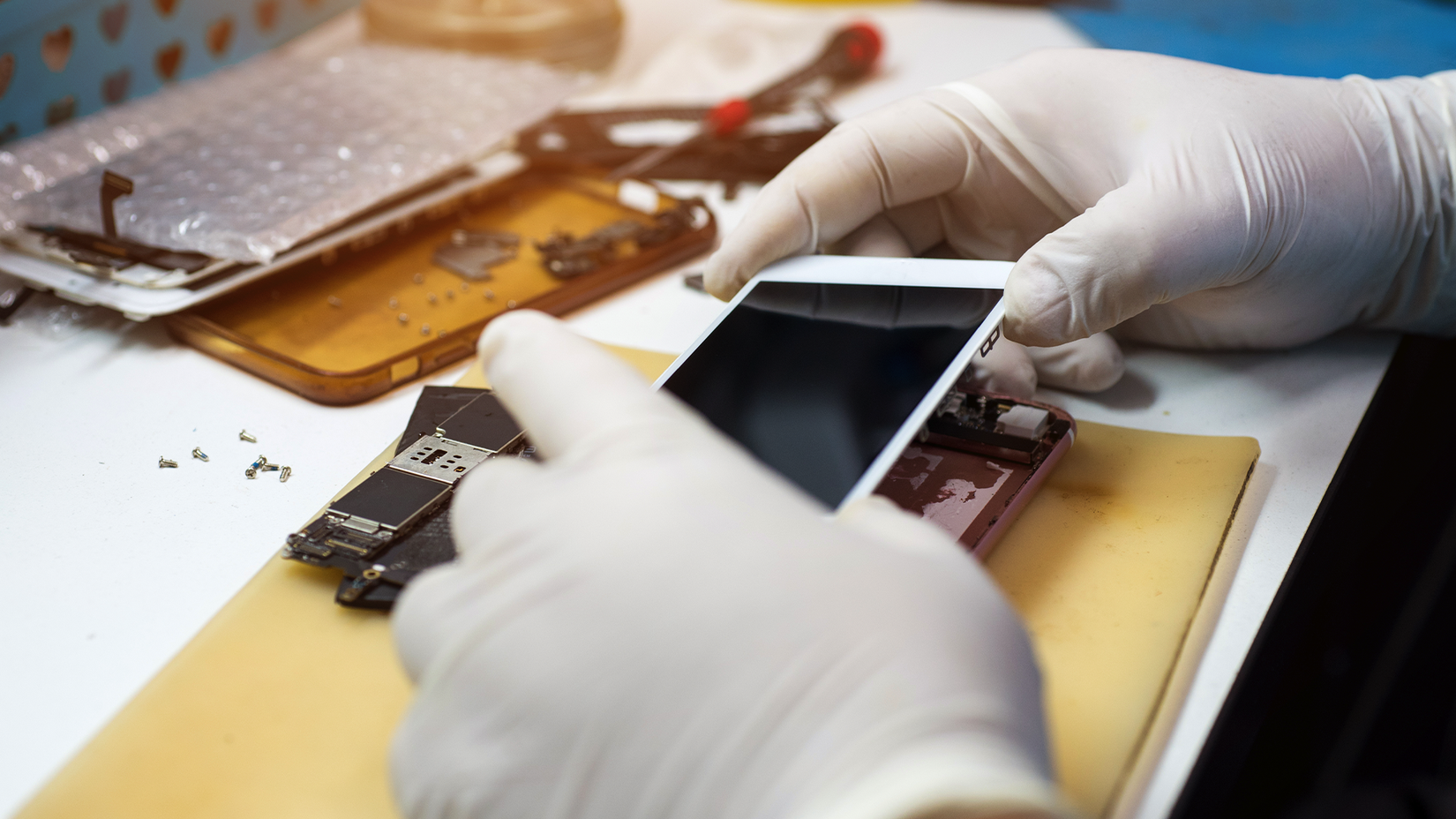 A technician replacing an iPhone screen.