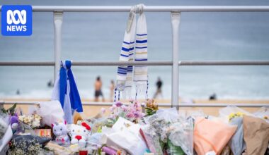 Bondi terror attack heroes to be recognised in new honours list