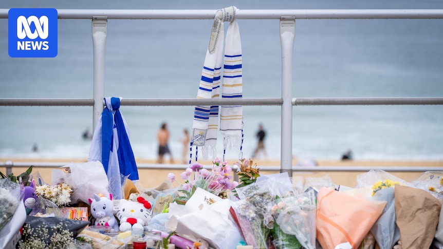Bondi terror attack heroes to be recognised in new honours list
