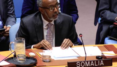 UN Security Council members condemn Israel’s recognition of Somaliland | United Nations News