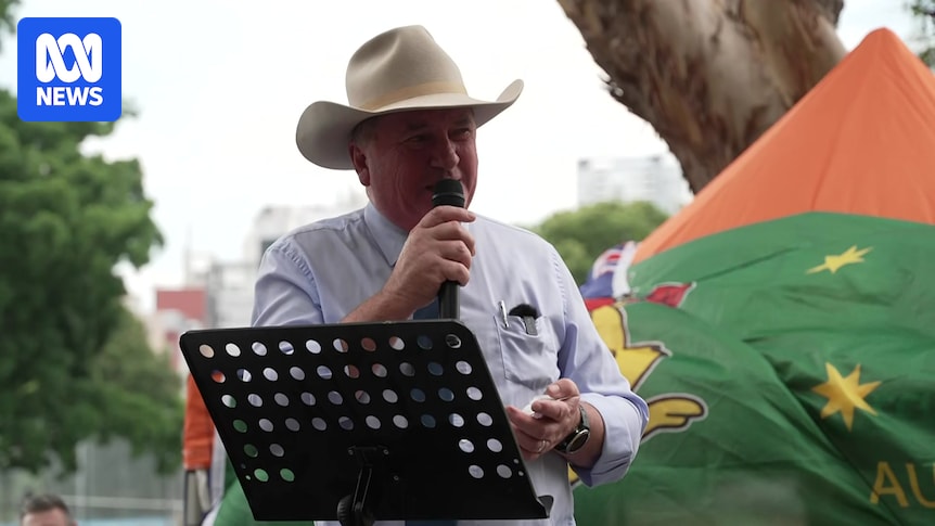 One Nation MP Barnaby Joyce calls for PM to be removed from role