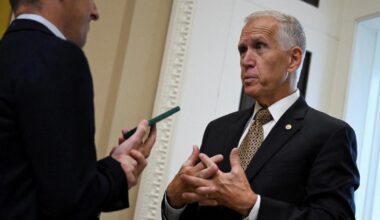 Voters back alternative assets in 401(k)s, poll shows