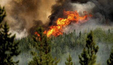 From earthquakes to wildfires, Canada is woefully ill-prepared for disasters