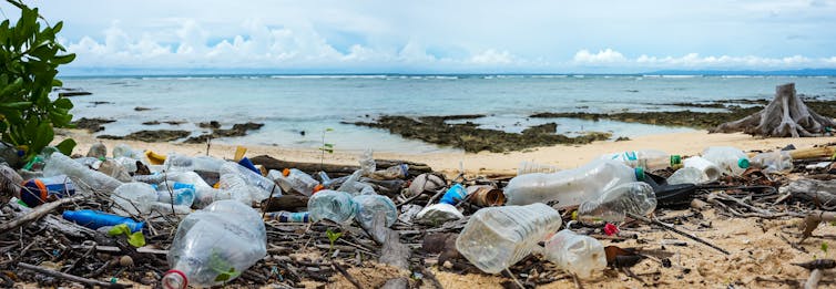 The plastic debris present in beach sediments at the remote islands of the Andaman, India