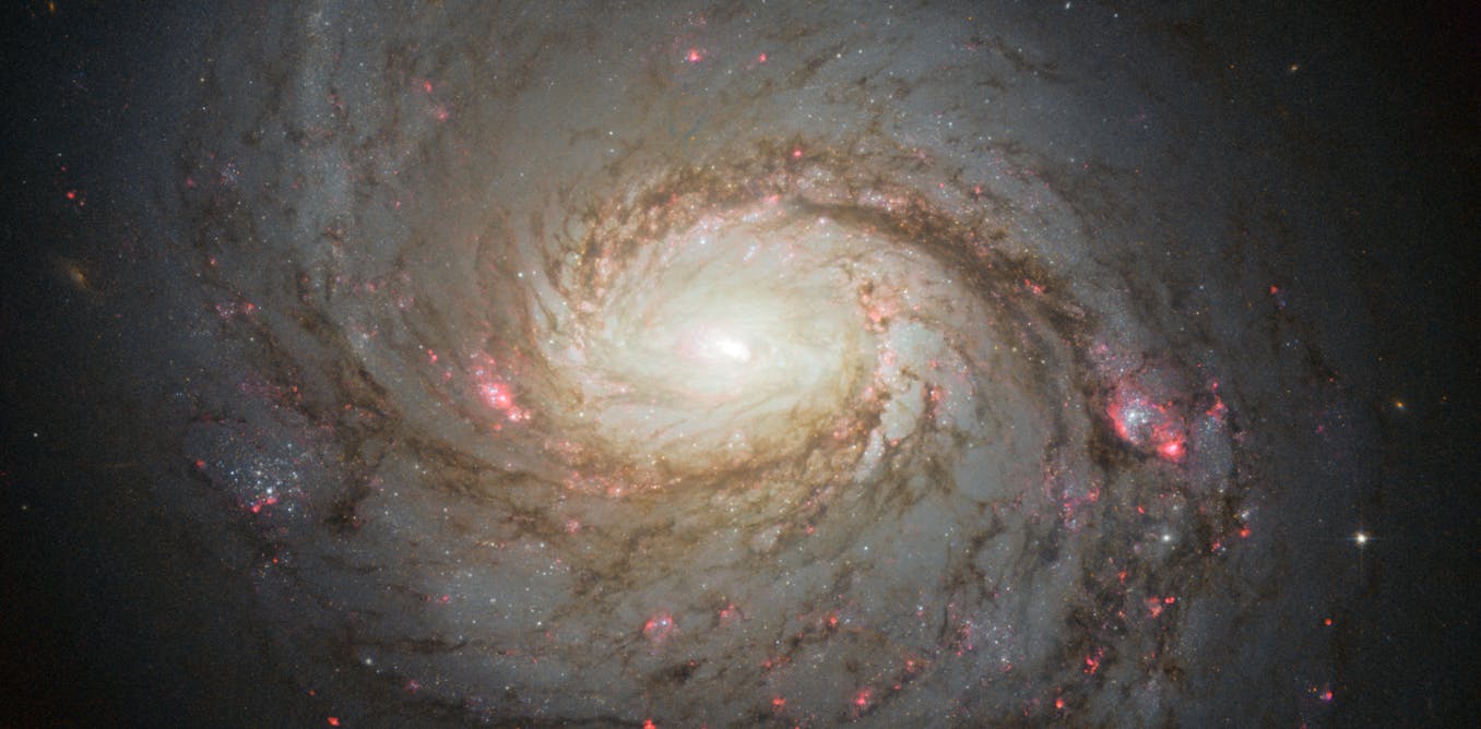 How are dark matter and antimatter different?