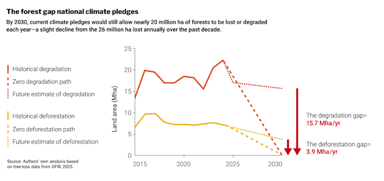A graph which shows the rate of deforestation.