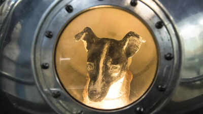 First animal in space! Brave stray dog whose 1957 space mission made history and never returned