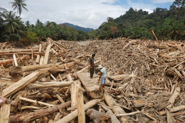 Men stand on logs swept away by flash flood in Batang Toru, North Sumatra, Dec. 2.