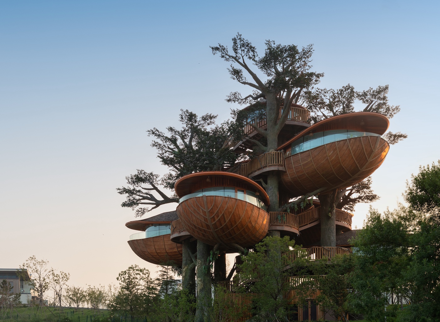 Forest Nests Treepod Project by Doarchiwow