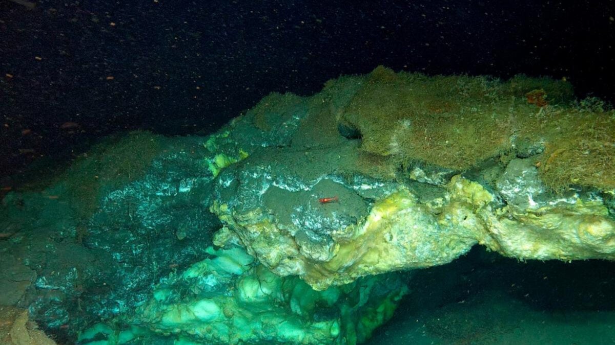 Scientists Found the Deepest Known Arctic Vent—and It's Teeming With Life