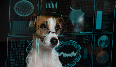 Pet Perks, Youth Skills Decline, and Government AI