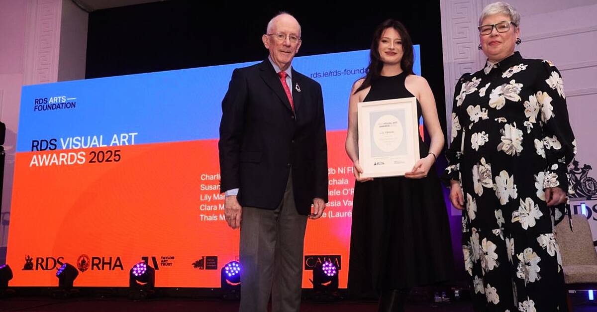 Galway city artist among national winners at RDS Arts Awards