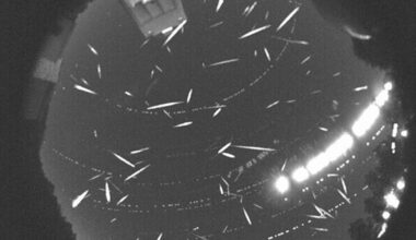 You Don't Want to Miss This Year's Geminid Meteor Shower