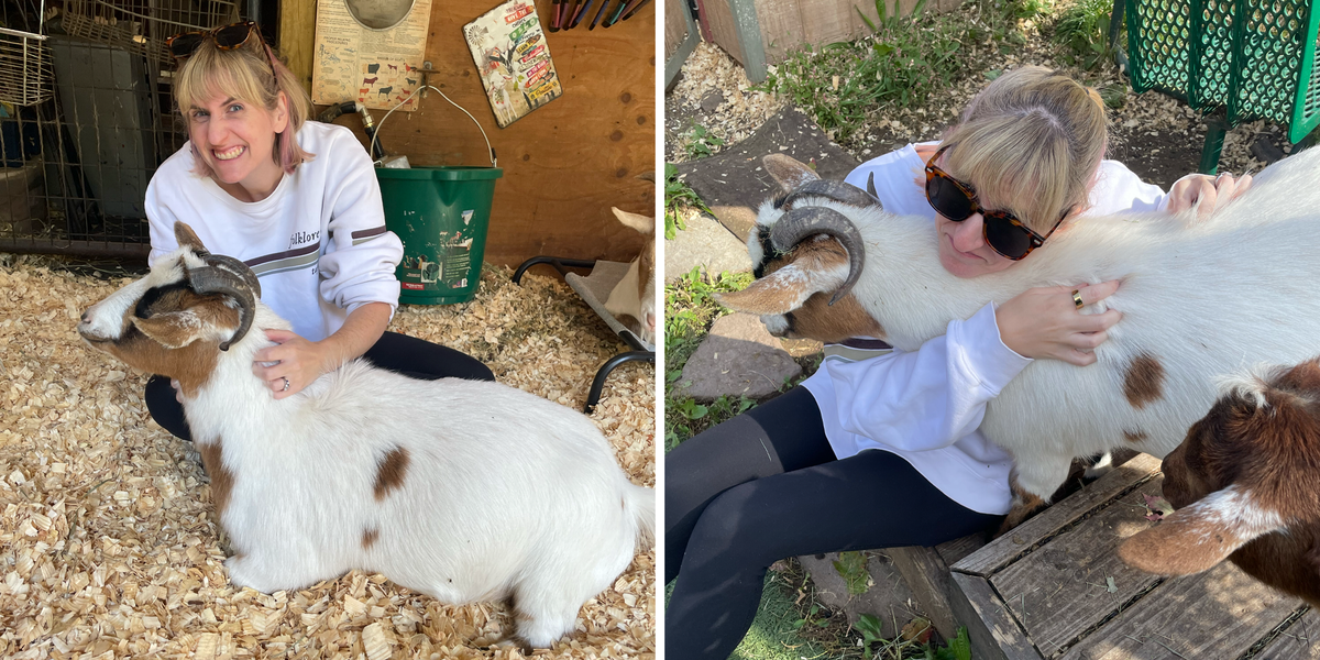 What Happened When I Tried Goat Therapy to Reduce My Anxiety