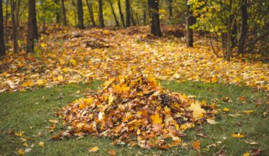 A well-fed groundhog has captured the internet's attention.