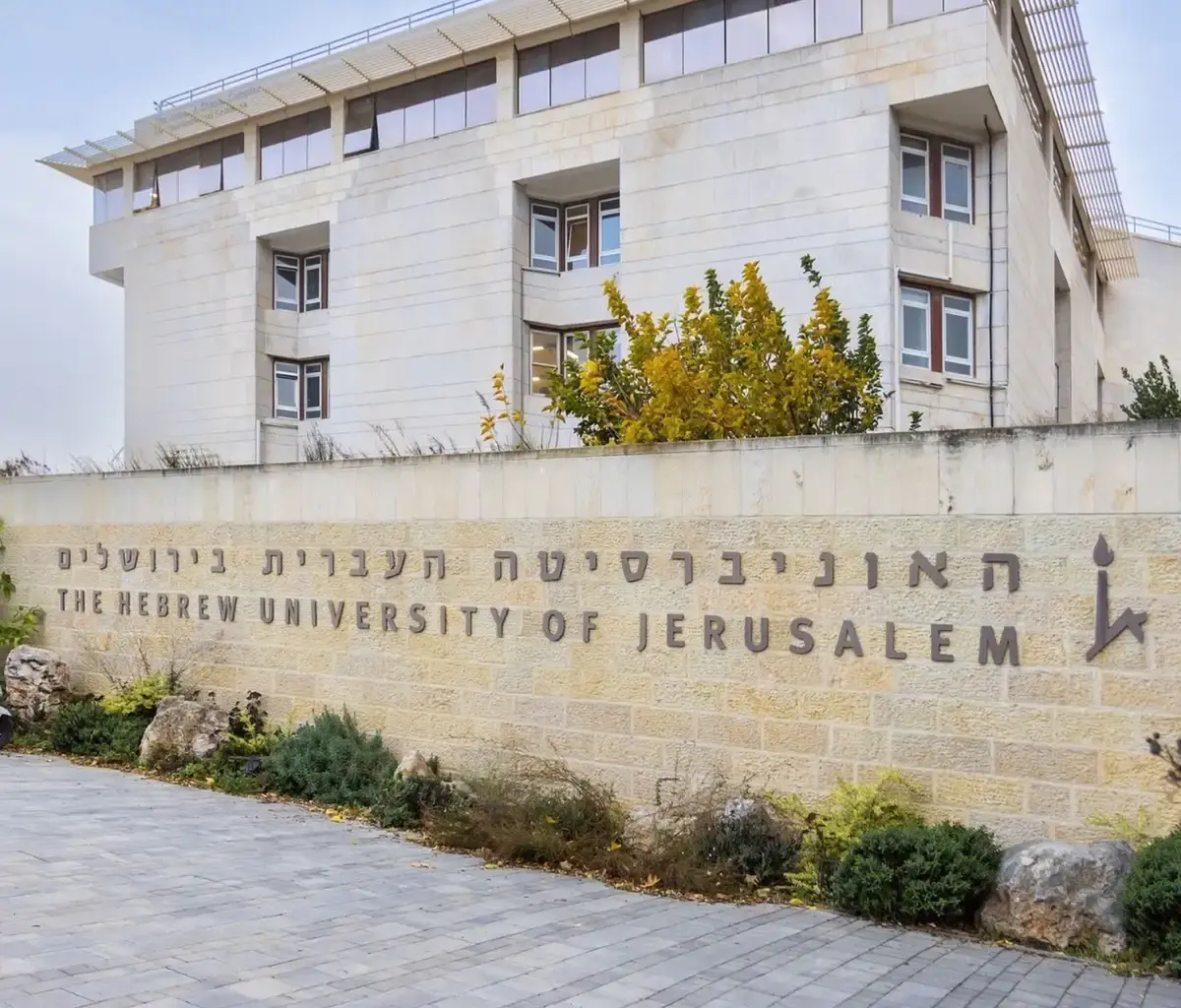 Israeli study offers hope for cancer survivors struggling with ‘chemobrain’ - The Jewish Chronicle