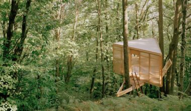 Olin Petzold nestles self-built treehouse in Swiss valley