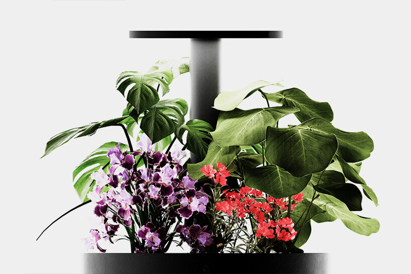 students redefine the human-tech synergy at hongik’s annual industrial design degree show