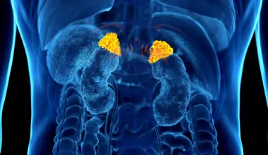 AI finds a hidden stress signal inside routine CT scans