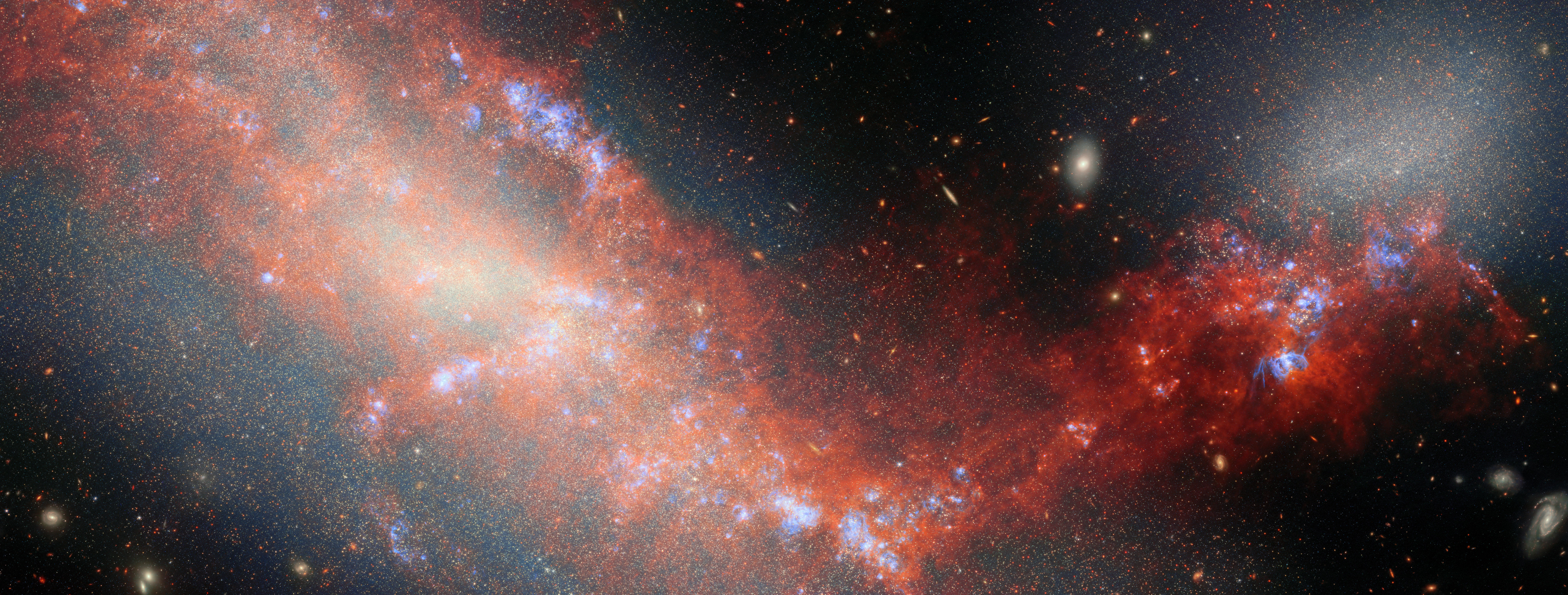 This Webb image shows two interacting galaxies. NGC 4490 occupies the left side of the image, while NGC 4485 appears as a white glowing hue in the top right of the field. Both galaxies are connected by a bright stream of red stretching from the top left of the image, through the bottom centre, and ending at the right under galaxy NGC 4485. There are regions of bright blue ionised gas visible in concentrated areas of the red stream. The background is black with multiple galaxies in various shapes throughout.]