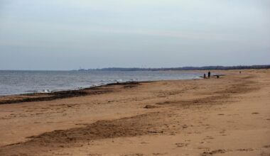 Residents near Chesil Beach in the UK were shocked to discover a dead Risso's dolphin washed up on the shore.