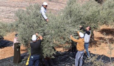 Crackdown on Palestinian civil society is reaching alarming levels, warns UN human rights office