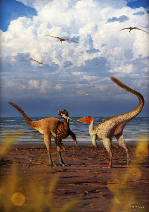 Hypothetical reconstruction of Mirischia asymmetrica (left) and Santanaraptor placidus (right) disputing a lizard in what is now northeastern Brazil approximately 112 million years ago. Image credit: Guilherme Gehr.