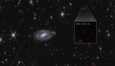Webb identified the source of a super bright flash of light known as a gamma-ray burst: a supernova that exploded when the Universe was only 730 million years old. Image credit: NASA / ESA / CSA / STScI / A. Levan, IMAPP / A. Pagan, STScI.