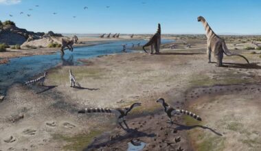 160-Million-Year-Old Dinosaur Footprints Discovered in Chile