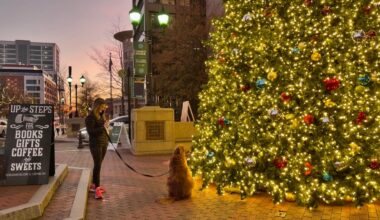 A person walks their dog next to a lit up Christmas tree on a city block.