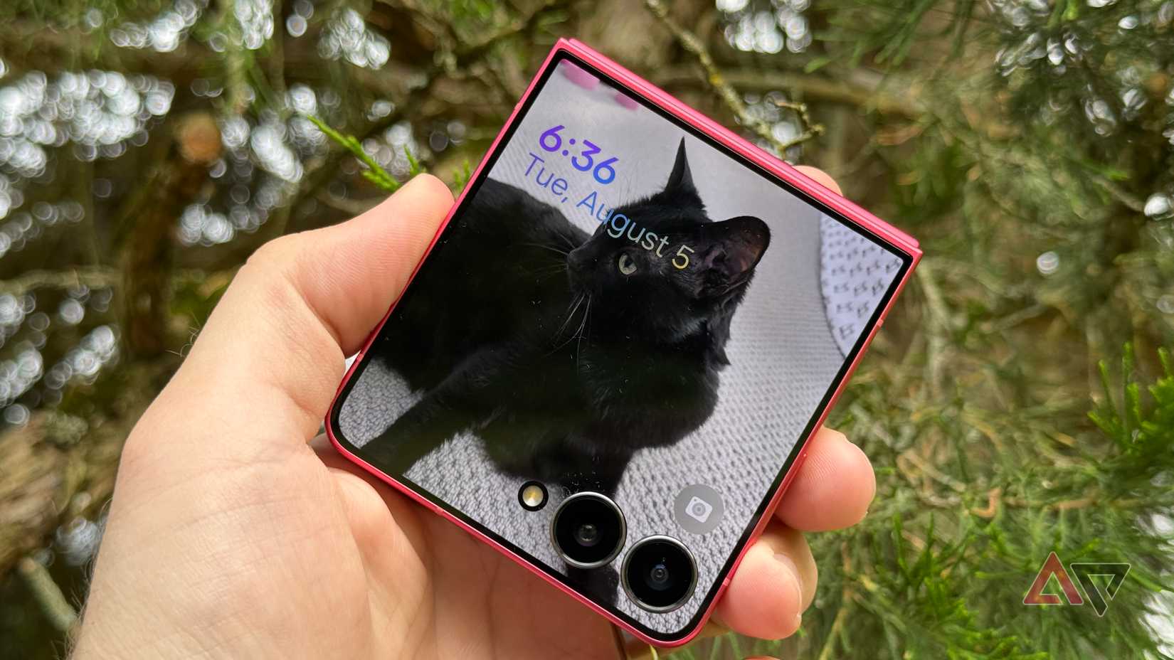 Samsung Galaxy Z Flip 7 displaying a black cat against an evergreen tree