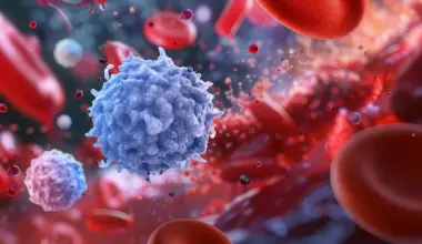 A missing protein may be aging your immune system