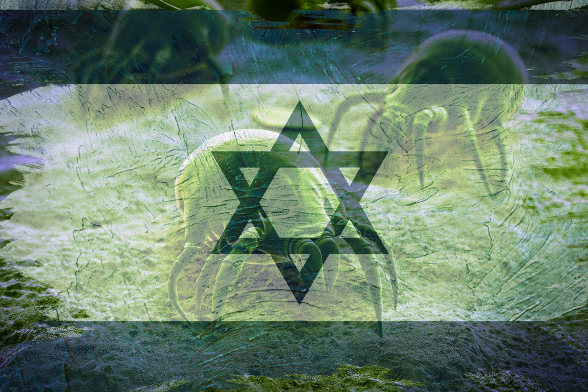 Israel Is a Parasite