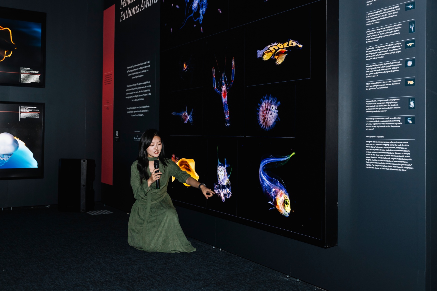 jialing cai blancpain exhibition