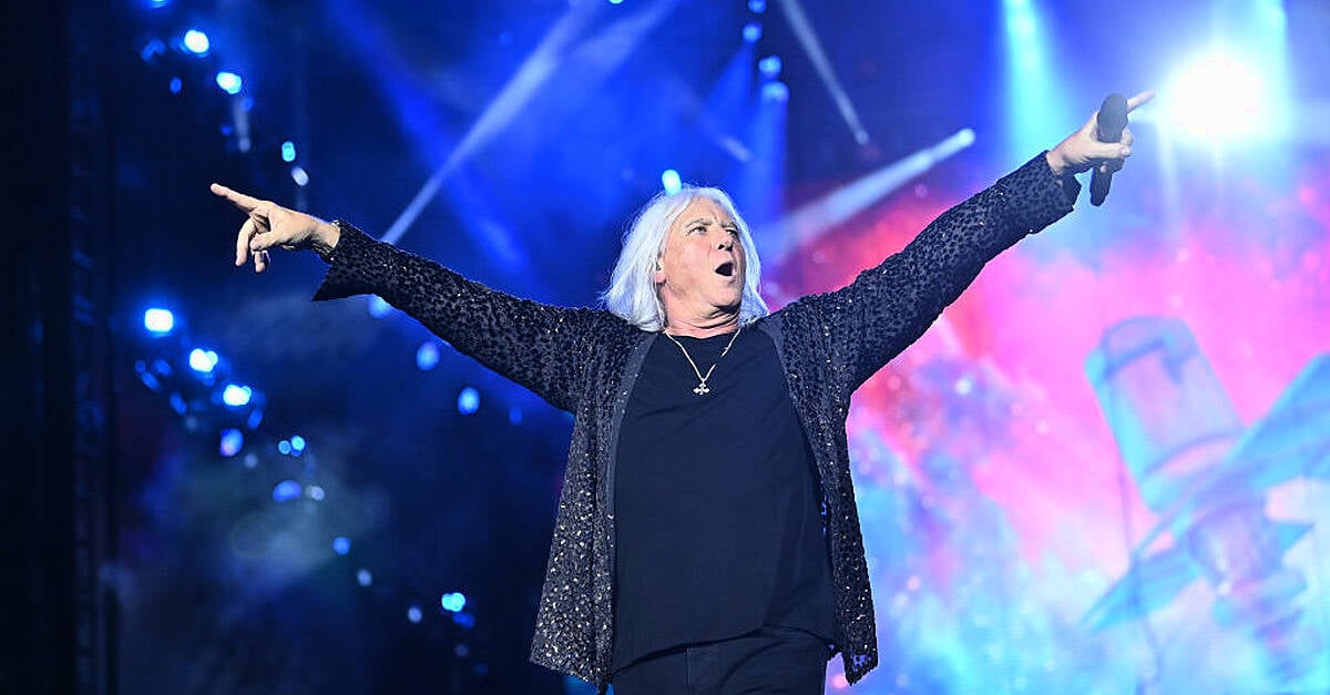 Joe Elliott secures permission for 5-metre sculpture in Dublin home despite driver distraction concerns