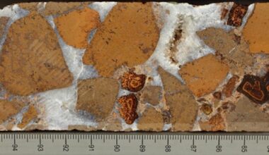 Image of brownish orange rocks (lava breccia) encased in white rock (calcium carbonate).