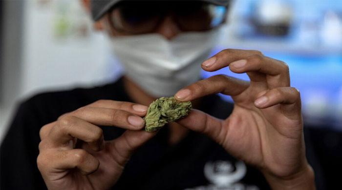 Medical experts report surge in CHS, disturbing ‘scromiting' cases